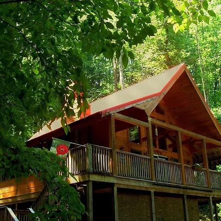 Alpine Joy-Hot Tub, Pond Access ,1089 Of Free Tickets For Each Paid Day, Dollywood And More! Townsend Exterior photo