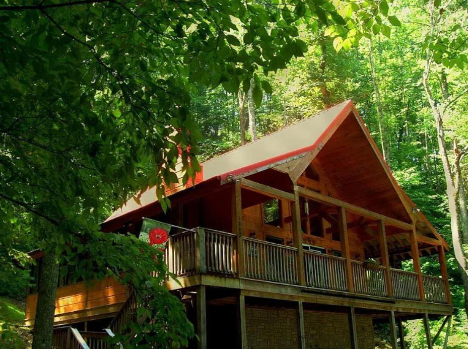 Alpine Joy-Hot Tub, Pond Access ,1089 Of Free Tickets For Each Paid Day, Dollywood And More! Townsend Exterior photo
