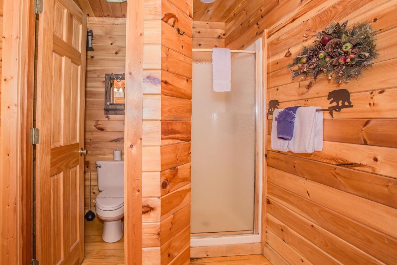 Alpine Joy-Hot Tub, Pond Access ,1089 Of Free Tickets For Each Paid Day, Dollywood And More! Townsend Exterior photo