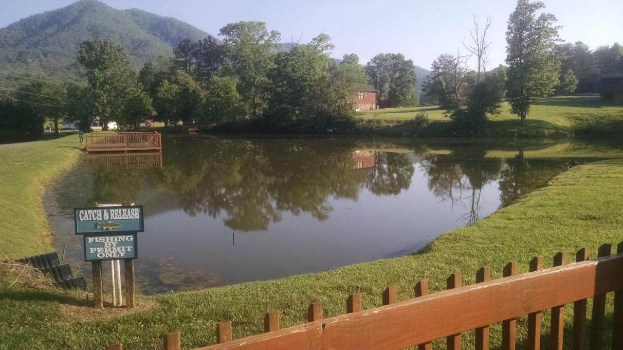 Alpine Joy-Hot Tub, Pond Access ,1089 Of Free Tickets For Each Paid Day, Dollywood And More! Townsend Exterior photo